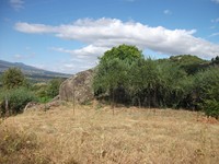 gale-20120725 060